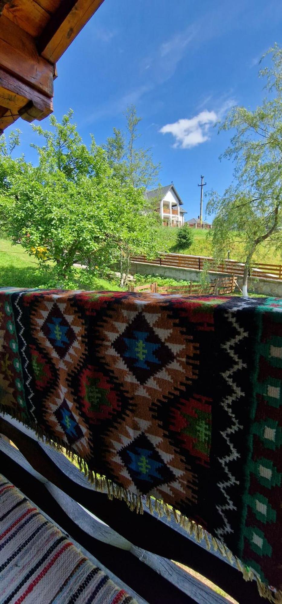 ホテル Casa Agroturistica Tarancuta Din Vatra Moldoviţei エクステリア 写真