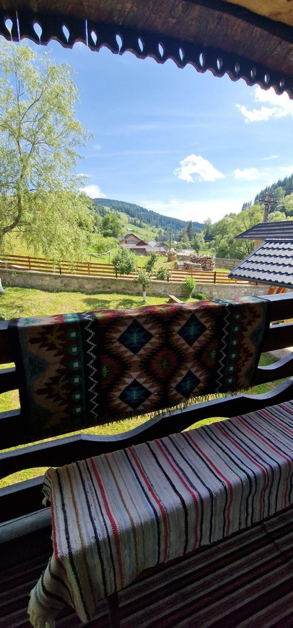 ホテル Casa Agroturistica Tarancuta Din Vatra Moldoviţei エクステリア 写真