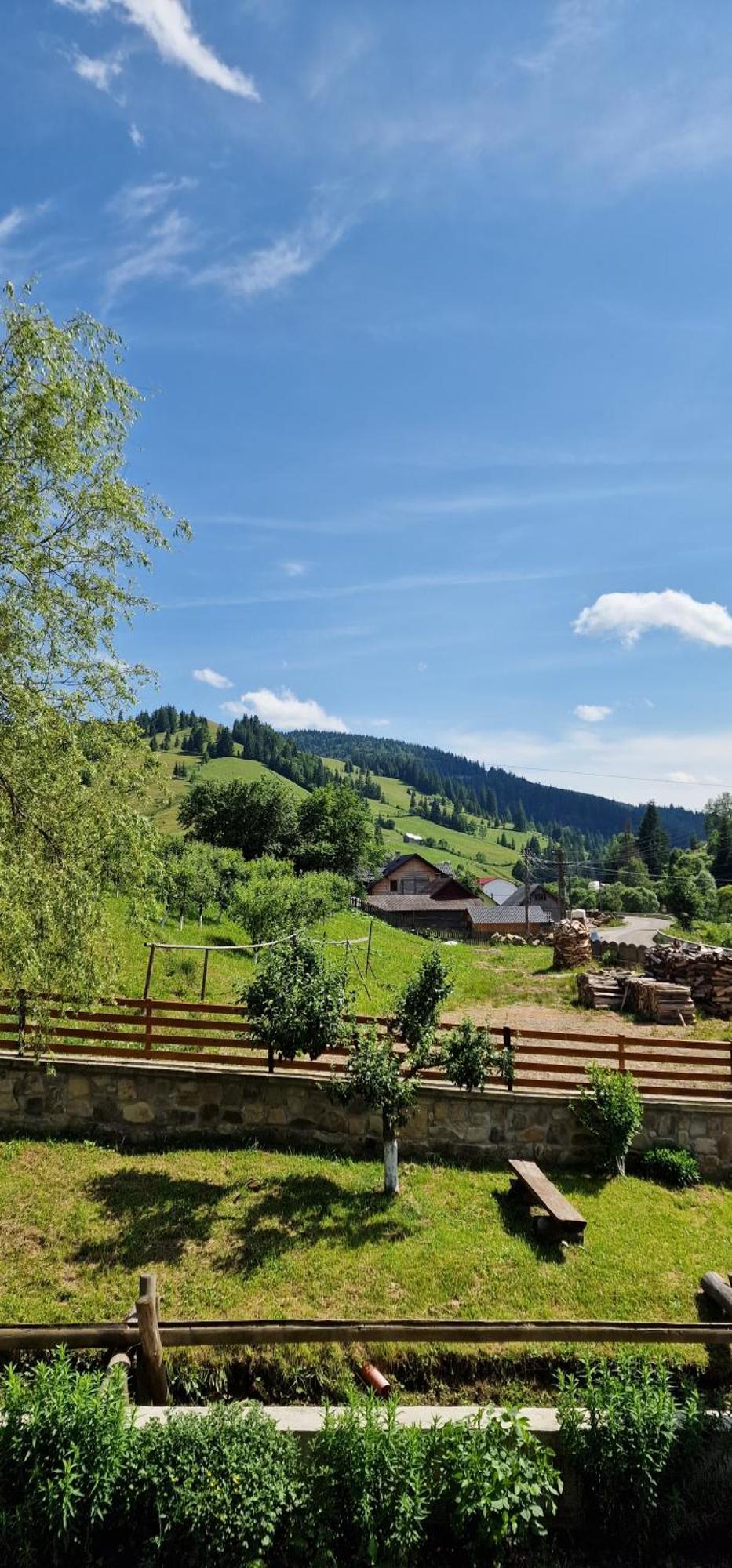 ホテル Casa Agroturistica Tarancuta Din Vatra Moldoviţei エクステリア 写真