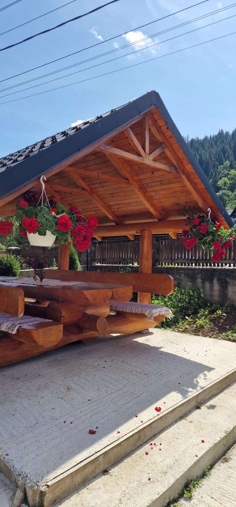 ホテル Casa Agroturistica Tarancuta Din Vatra Moldoviţei エクステリア 写真