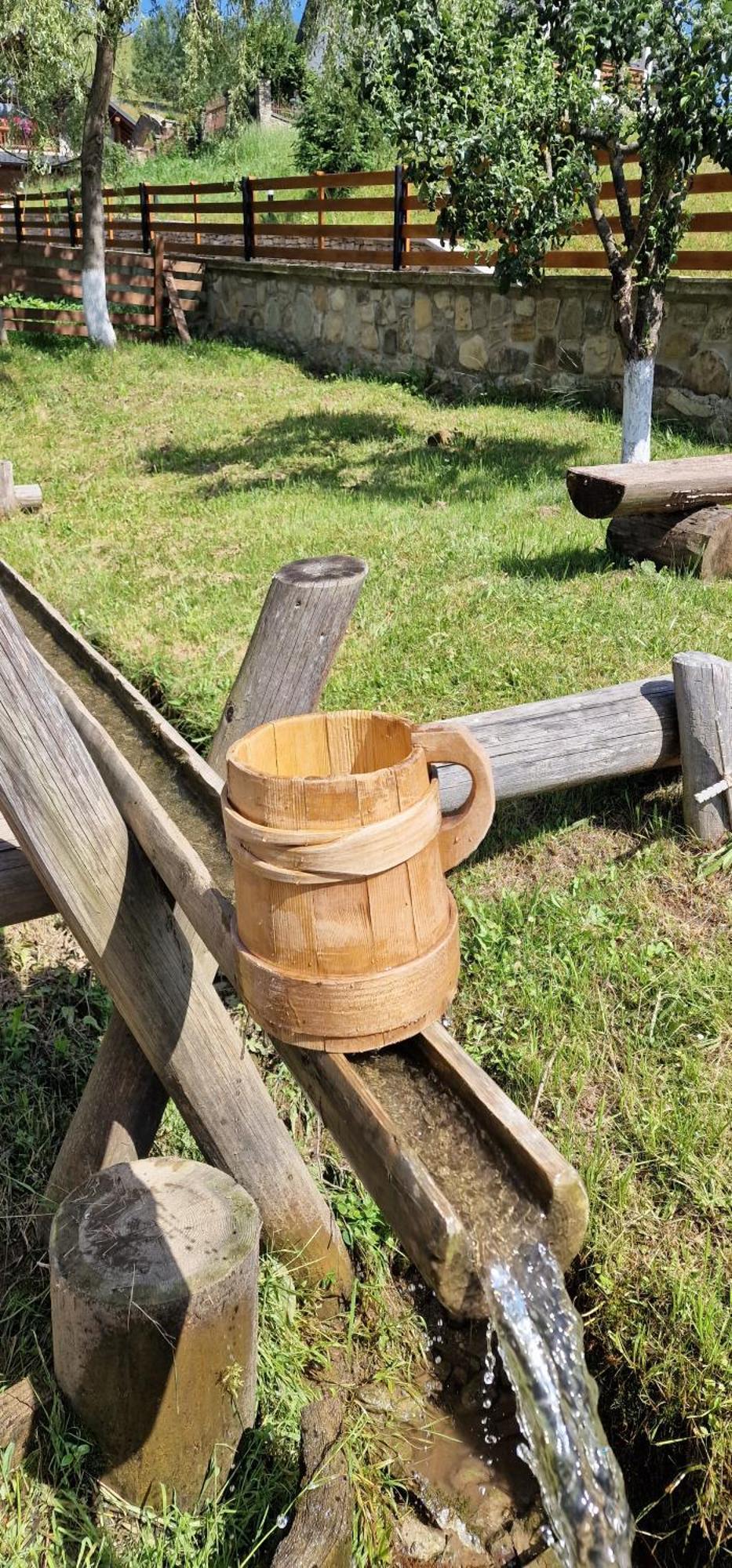 ホテル Casa Agroturistica Tarancuta Din Vatra Moldoviţei エクステリア 写真