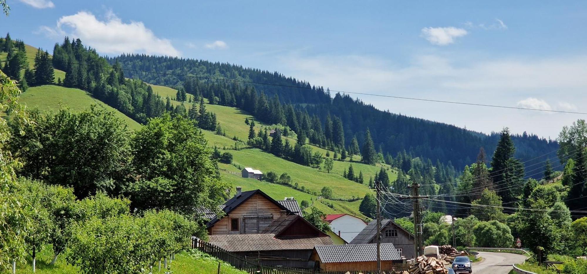 ホテル Casa Agroturistica Tarancuta Din Vatra Moldoviţei エクステリア 写真